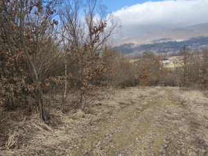 Teren de vânzare în răzoare  - imagine 2