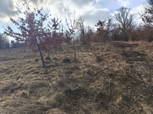 Teren de vânzare în răzoare  - imagine 14