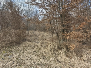 Teren de vânzare în răzoare  - imagine 3