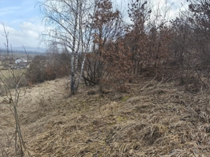 Teren de vânzare în răzoare  - imagine 12