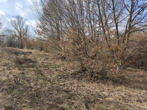 Teren de vânzare în răzoare  - imagine 16