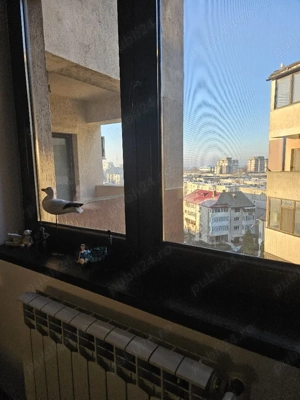 Curatenie la domiciliu in Constanta 