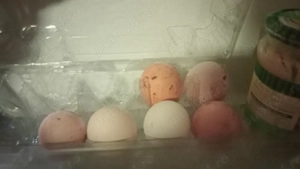 ouă bio  pentru consum  rață si găină