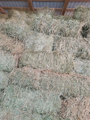 Baloti de lucernă 30 bolotu