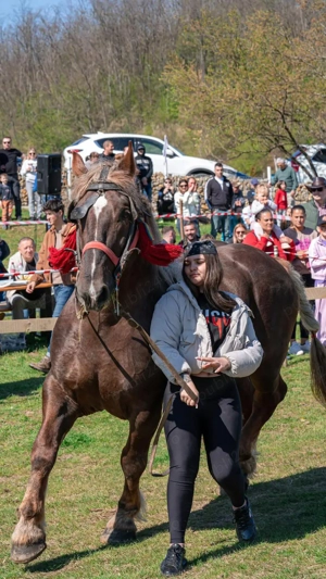 armasar de vânzare  - imagine 4