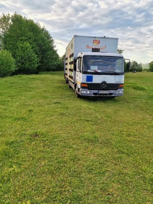 camion apicol - imagine 2