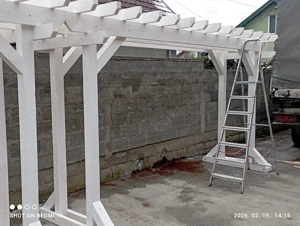 Pergola hinta balansor - imagine 2