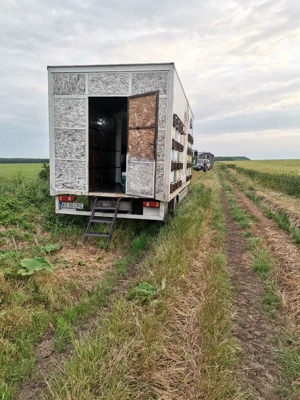 camion apicol - imagine 5