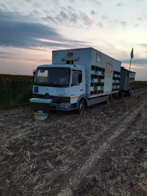 camion apicol - imagine 3