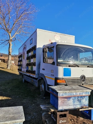 camion apicol - imagine 4