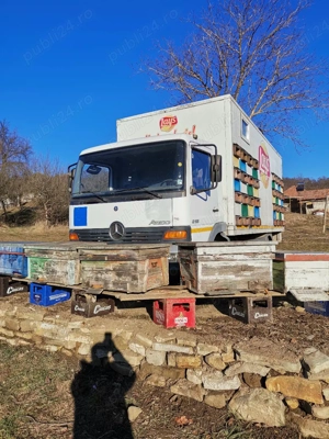 camion apicol - imagine 6