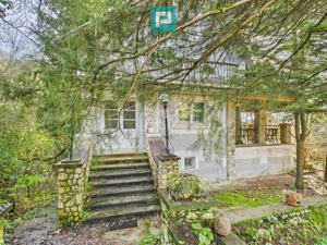 Vand casa D+P+E in Rosia Noua (com. Petris) - imagine 2