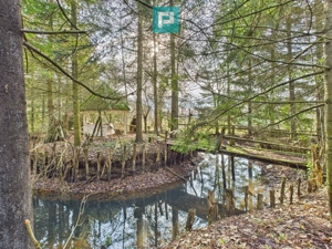 Vand casa D+P+E in Rosia Noua (com. Petris) - imagine 3