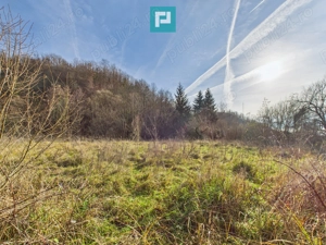 Vand casa D+P+E in Rosia Noua (com. Petris) - imagine 16