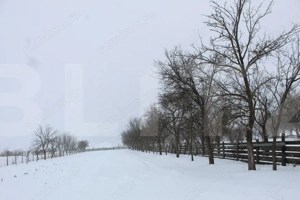 Casă solidă cu teren în Boroșneu Mic – liniște si natură  - imagine 16