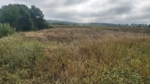 Teren intravilan - imagine 4