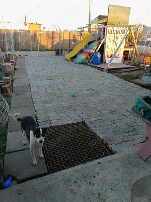 teren in Navodari  - imagine 2