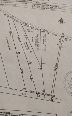 Vanda Pamant malul mare  - imagine 3