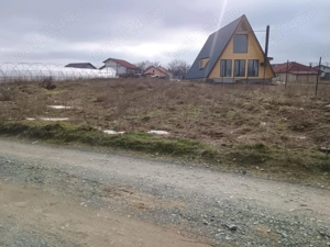 Vanda Pamant malul mare 