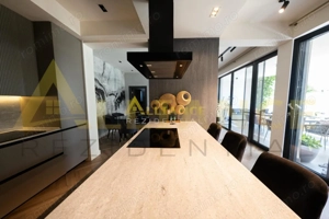 Vila cu piscina Comuna Berceni - imagine 4