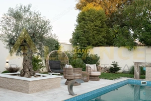 Vila cu piscina Comuna Berceni - imagine 6