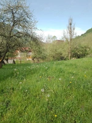 Vand teren in com.Vidra jud.Alba. - imagine 7