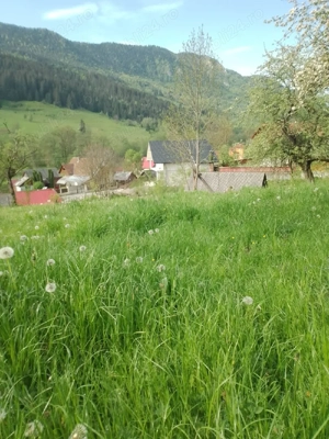 Vand teren in com.Vidra jud.Alba. - imagine 6