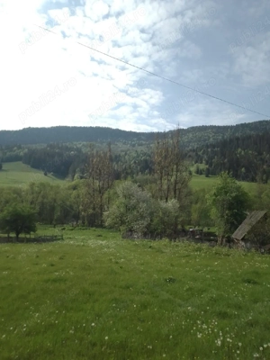 Vand teren in com.Vidra jud.Alba. - imagine 2