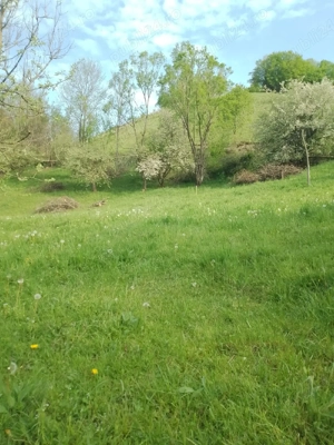 Vand teren in com.Vidra jud.Alba. - imagine 5