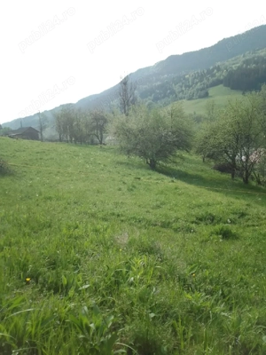 Vand teren in com.Vidra jud.Alba.