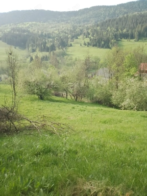 Vand teren in com.Vidra jud.Alba. - imagine 3