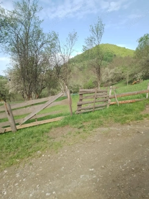 Vand teren in com.Vidra jud.Alba. - imagine 4