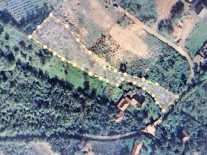 Vand teren Niscov (Cârlomanesti) - imagine 2