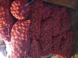 Vand cartofi samanta rosu si alb