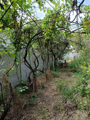 Casa demolabila cu teren generos 1090 mp, Clinceni - proprietar - imagine 4