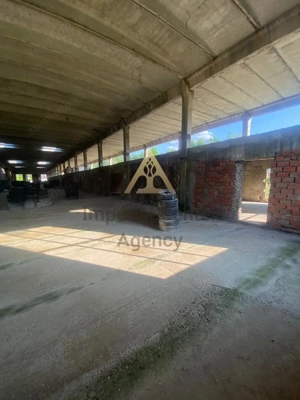 CLADIRE INDUSTRIALA 3500 mp  SI TEREN 10.000 MP DE VANZARE CASIN - imagine 6