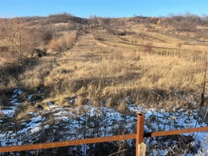 CASA DEMISOL+ PARTER SI TEREN DE VANZARE BOGDANESTI - BACAU - imagine 7