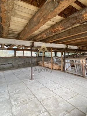 TEREN CU HALE DE PRODUCTIE   DE VANZARE - AGAS - imagine 15