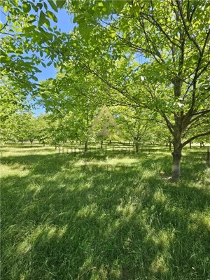 TEREN INTRAVILAN DEVANZARE 33161 MP DE VANZARE TARGU OCNA