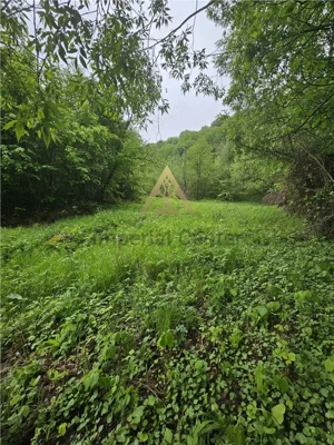 TEREN  PENTRU BUSSINESS 2842 MP DE VANZARE IN STATIUNEA  TARGU OCNA