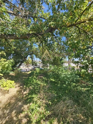 TEREN INTRAVILAN DE VANZARE ONESTI