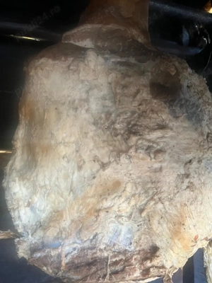 vand slanina, sonc, gusa afumate