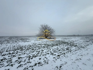 Teren agricol extravilan in Itesti de vanzare - imagine 7