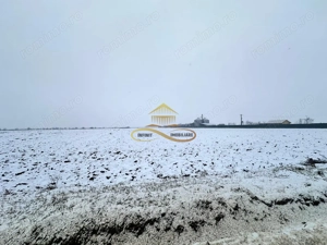 Teren de vanzare Schineni Saucesti - imagine 2