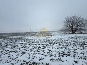 Teren agricol extravilan in Itesti de vanzare - imagine 6