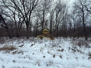 Teren extravilan - Padure de vanzare in Beresti Bistrita - imagine 2