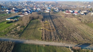 TEREN DE VANZARE MAGURA - imagine 4