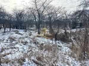 Teren de vanzare 3400 mp Lilieci Bacau - imagine 11