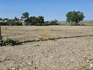 Teren la strada principala - E85 - DE INCHIRIAT - OFERTA! - imagine 4