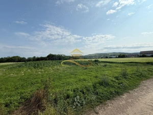 Teren intravilan de Vanzare in Magura Bacau - imagine 7